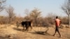 Seca nos Gambos, província da Huíla, Angola