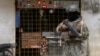 Ecuador: Realizan operativo militar en zona de alta violencia criminal