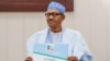 An Kai Karar Shugaba Buhari Kan Naira Biliyan 800