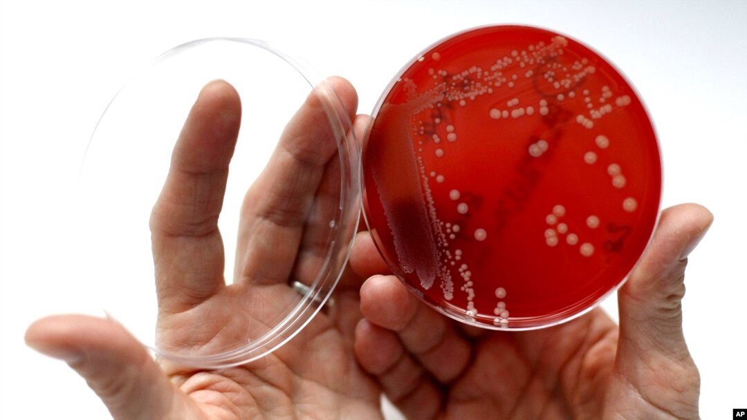 Superbug