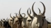 Dozens Killed in South Sudan Attack