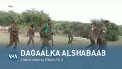 Qubanaha VOA