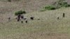 North Koreans farm in the field, along the Yalu River, in Sakchu county, North Phyongan Province, North Korea, June 20, 2015.