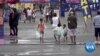 State Fairs in America Show City Dwellers Where Their Food Comes From