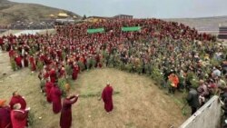 བོད་ནང་གི་རྫོགས་ཆེན་དགོན་དུ་སྡོང་འཛུགས་ནགས་སྐྲུན།