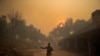 Authorities Investigate If Electrical Lines Contributed to California Wildfires