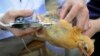 China Culls 20,000 Birds as Flu Fears Flare