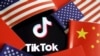 教育選民或是虛假宣傳？ TikTok推出美國大選指南惹疑慮