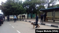 Brigada canina da polícia bloqueia manifestação