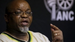 Gwede Mantashe
