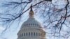 Выборы в России: реакция Сената США