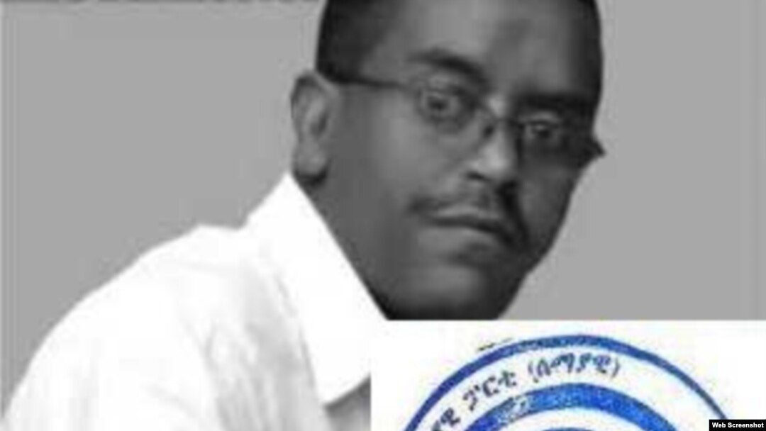 አቶ ይልቃል ጌትነት - የሰማያዊ ፓርቲ ሊቀመንበር