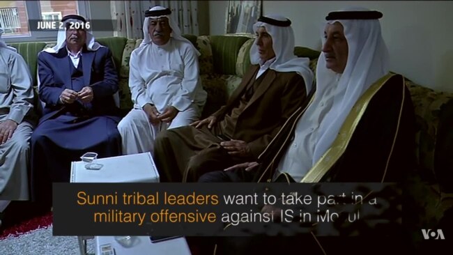 On the Scene: Iraqi Sunni Tribal Leaders Seek to Gain Influence in War Against IS