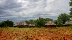 Huíla reage a “task force” do governo para combater efeitos da seca – 2:01