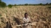 Seca na África Austral: o pior está para vir, diz a ONU