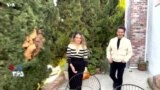 موزیک‌باز - حمید طالب‌زاده
