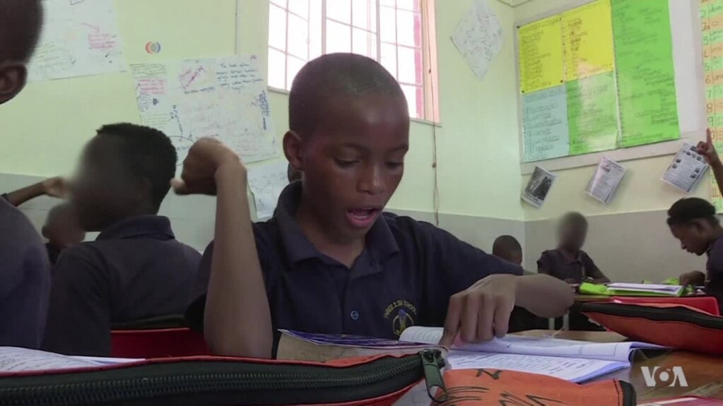 Simple Malaria Intervention in African Schools Leads to Big Improvement in Students' Performance