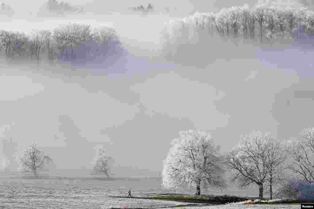 A jogger runs on a Albispass mountain pass surrounded by ice-covered trees, Switzerland.