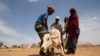 Cambio climático: Cumbre científica se enfoca en los impactos, la adaptación y la vulnerabilidad