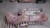 'World's Largest' Dinosaur Unearthed