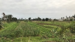 Agricultura pode ganhar com privatizações – 2:43