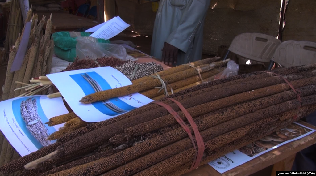 Irin Noma na gargajiya a taron baje kolin irin noma na gargajiya a Yamai babban birnin kasar Nijar, ranar Lahadi 8 ga watan Afrilu, 2018 
