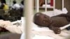 Pediatria em Luanda conhece melhor atendimento após donativos