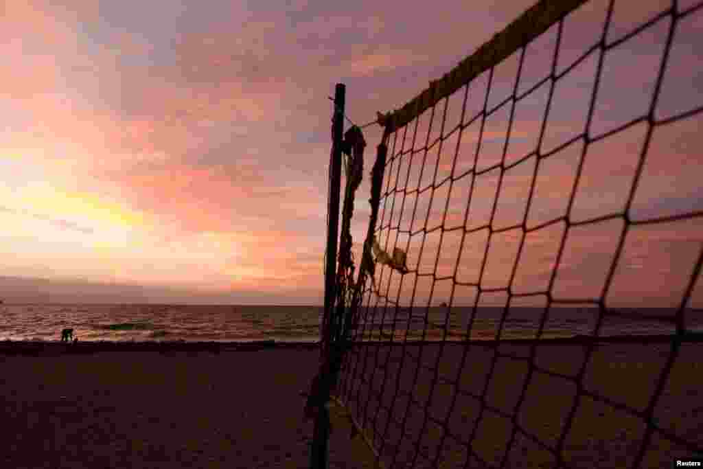 A man exercises his dog on the beach at dawn in Falmouth, Britain.