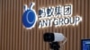 螞蟻上市突然叫停，官民爭鬥使螞蟻金服秒變“馬已經服”